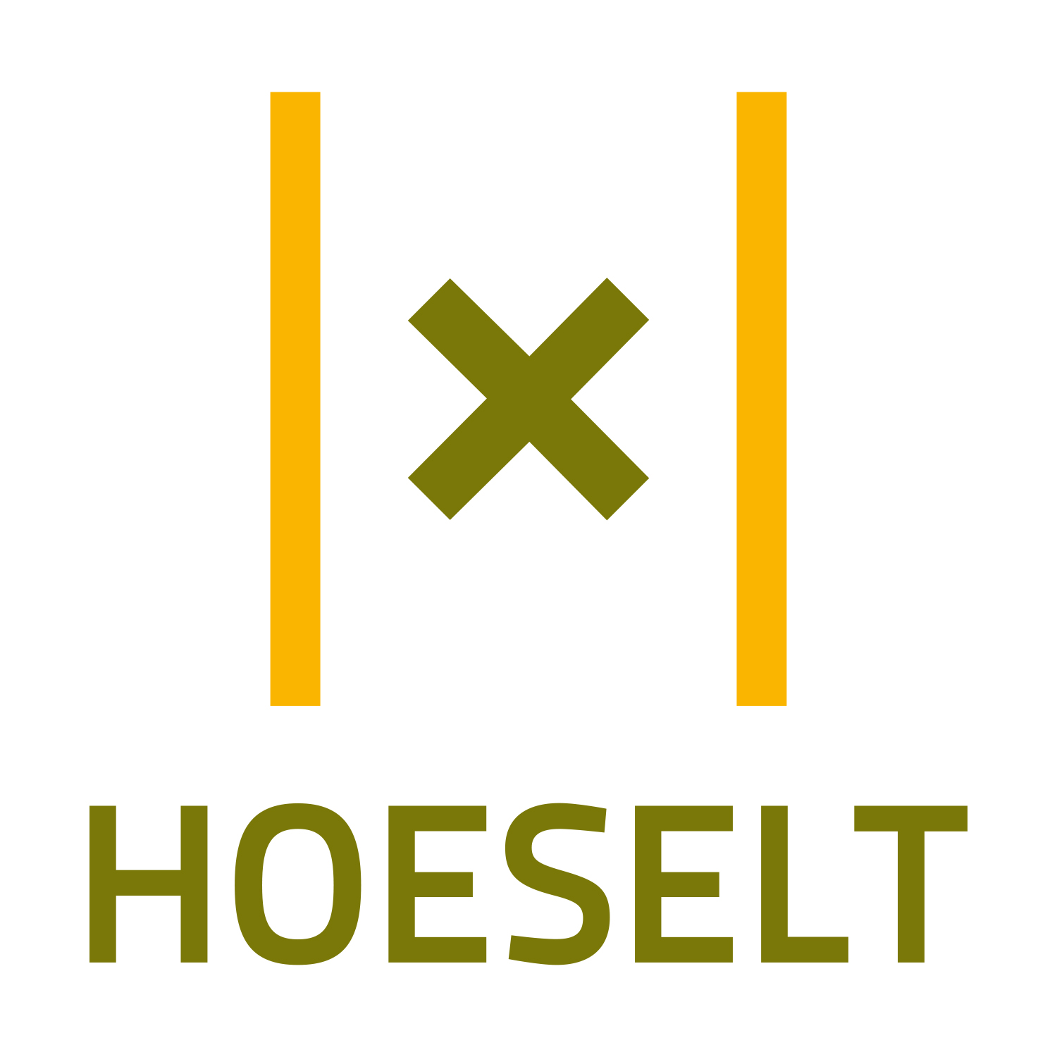the icon logo of Gemeente Hoeselt